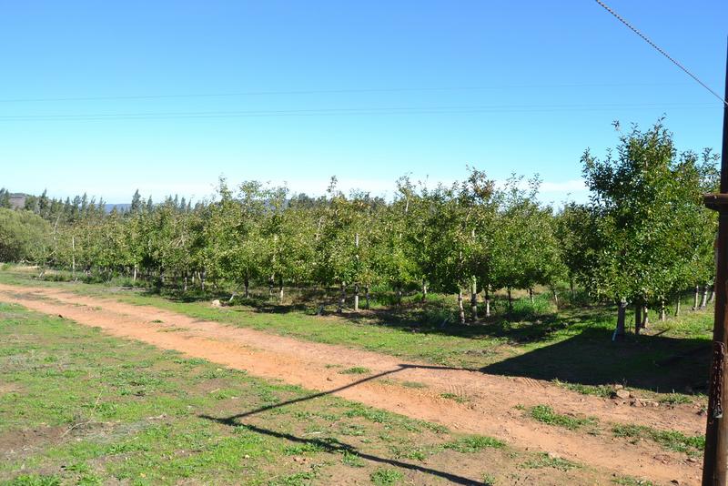 5 Bedroom Property for Sale in Piketberg Rural Western Cape